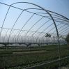 Vegetable Greenhouse f...