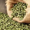 Green Arabica Coffe Beans