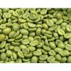 Green Arabica Coffe Beans