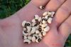 Black Eye Bean