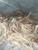 Raw Jute, Jute Yarn, J...