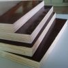 9-25mm Film Faced Plywood,Marine plywood for Construction