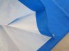 Waterproof and fireproof PE Tarpaulin, High-tensile PE Plastic Sheets