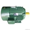 Y2 Series Three-Phase ...