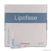 Lipofase