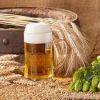 Barley Malt, Malt Extr...