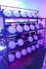 ufo 90w/140w led grow light with ce rohs approved