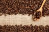 Coffee Beans, Fresh And Dried Coffee Seeds Arabica Robusta Beans