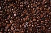 Coffee Beans, Fresh And Dried Coffee Seeds Arabica Robusta Beans