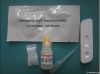 One-step Dengue IgM/Ig...