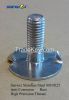 Stainless Steel Elevator Bolts - Free Samples