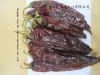 capsicum annuum/pimenton