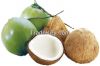 FRESH COCONUT / MATURE...