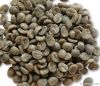 ROBUSTA COFFEE