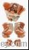 female pelvic Anatomic...