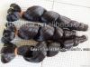 Wholesale 100% Virgin Remy Wavy Malaysian Human Hair Weave