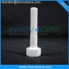 Yttria-Stabilized ZrO2/Zirconia Ceramic Screw/Insulation Application