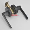 Black interior lever handle black paint internal American entrance door handle