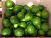 Persian Limes