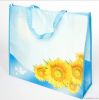 non woven shopping , promotional bag