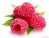 raspberry ketone extract