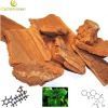 Pure Yohimbe Bark Extract Yohimbine 8% - Powder