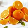 High quality Fresh/pure/delicious Valencia Oranges Strawberry