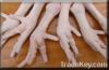 UNPROCESSED RAW CHICKEN FEETS