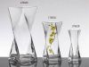 Glass Vase bli033