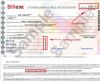 International Bill Of ...