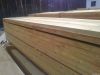 Spruce / Pine /  Siber...