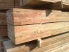 Spruce / Pine /  Siber...