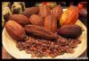 COLOMBIAN COCOA BEANS ...