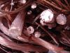 Copper Scraps Supplier...