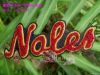 Chenille Embroidery Pa...