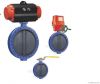 butterfly valve