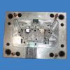 Plastic mould/mold