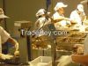 Brazilian Fish