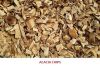 acacia wood chips