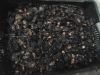 Dried prunes