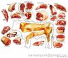 Beef Exporter From India