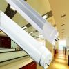 8W 600MM T8 Led Tube Light