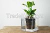Water Cube Plant Pot