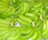 fresh cavendish bananas