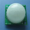 Motion Detector Module