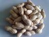 Peanuts with skin, raw...