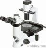 Inverted lab Biologica...