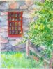 Watercolor Paintings