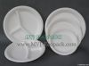 Eco Friendly Disposabl...