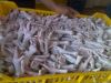 chicken feet